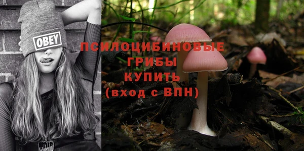 прущие крисы Вяземский
