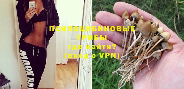 герыч Вязьма