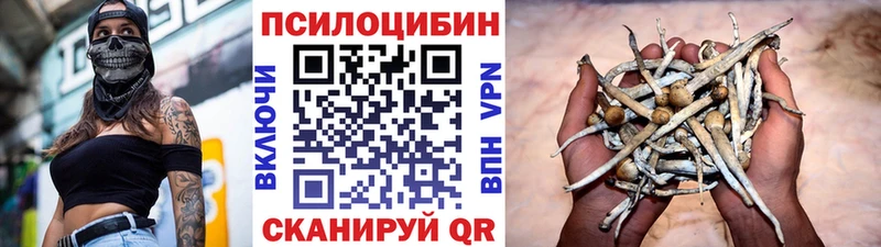 Псилоцибиновые грибы Psilocybine cubensis  Иланский 