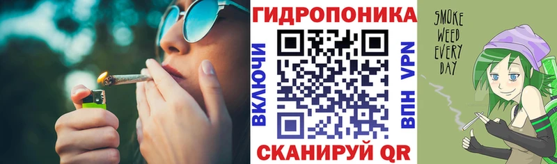купить наркотики сайты  Иланский  дарк нет официальный сайт  Каннабис сатива 